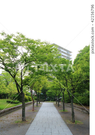 神宮前公園:名古屋 神宮前公園:名古屋 42156796