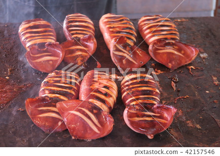 Squid squid 42157546