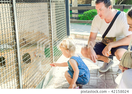 toddler child girl and her parents feeding rabbit toddler child girl and her parents feeding rabbit 42158024