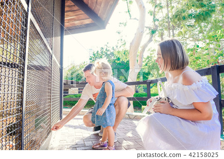 toddler child girl and her parents feeding rabbit 42158025