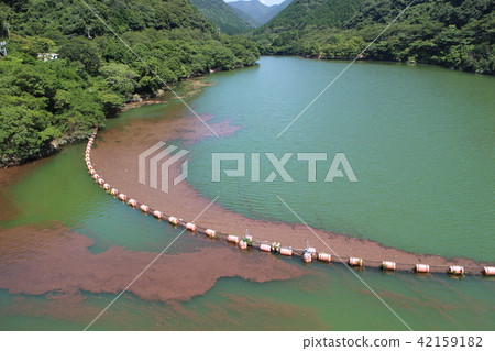 大雨過後木頭，浮木留在大壩裡 42159182