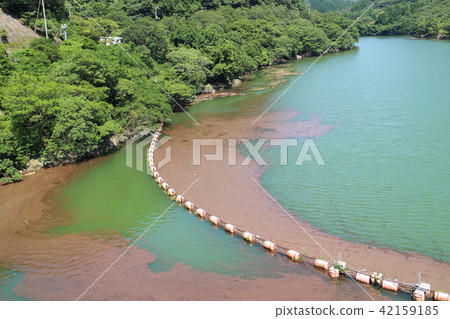 大雨過後木頭，浮木留在大壩裡 42159185