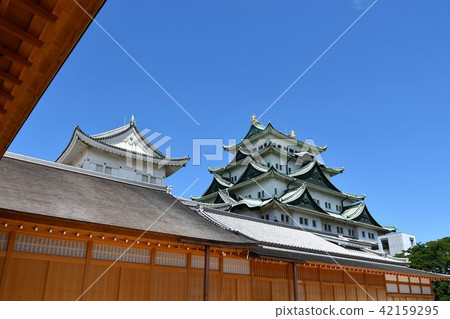 名古屋城堡本丸御殿場 名古屋城堡本丸御殿場 42159295