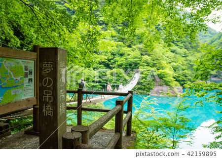 靜岡縣Tsumugi Gora Dream吊橋 42159895