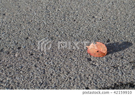 一片落葉 一片落葉 42159910