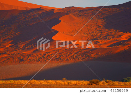 Namib Desert 42159959