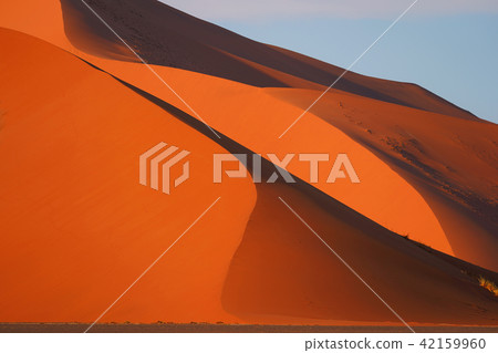 Namib Desert 42159960