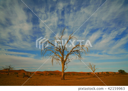 Namib Desert 42159963