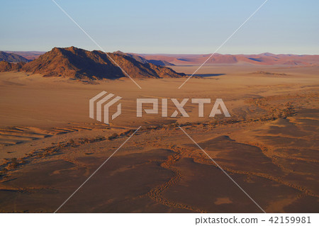 Namib Desert 42159981