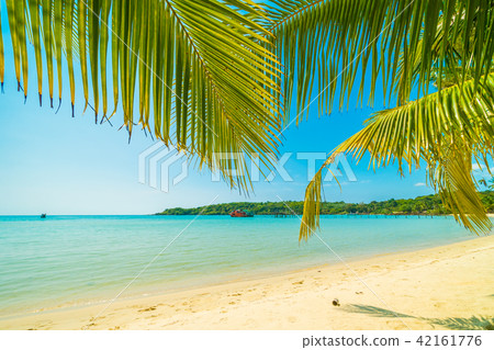 Beautiful tropical beach and sea with coconut palm tree in paradise island Beautiful tropical beach and sea with coconut palm tree in paradise island 42161776