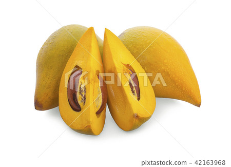 Egg fruit, Canistel, Yellow Sapote (Kunth) 42163968