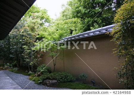 Japanese garden Japanese garden 42164988