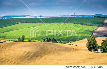 Moravian Tuscany Kyjov Moravian Tuscany Kyjov 42165086