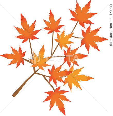 秋天的樹葉 42165253