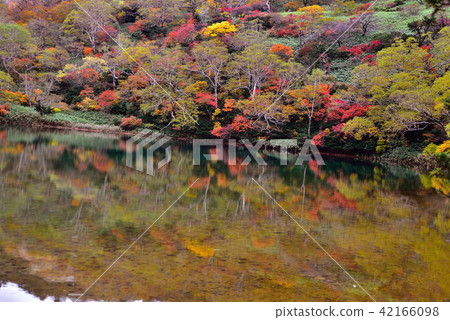 Kagamiganuma 42166098