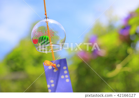 風鈴和牽牛花 風鈴和牽牛花 42166127
