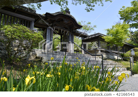 Mitsuji Tadashi Shogendo 42166543
