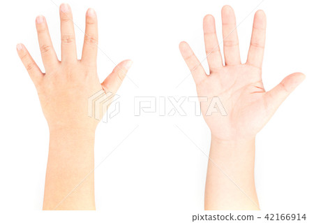 hand bone hand bone 42166914