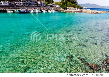 Kashiwa Island 42167038