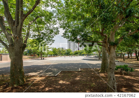 Shin-Koiwa Park 42167062