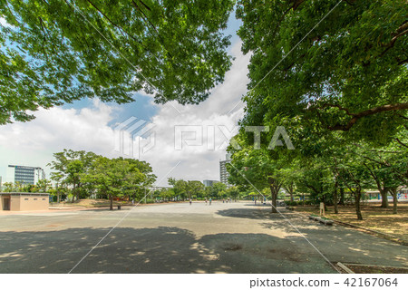 Shin-Koiwa Park 42167064