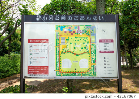 新小岩公園 42167067