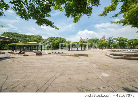 新小岩公園 42167075