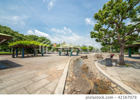 東京都葛飾區新小岩公園 42167078