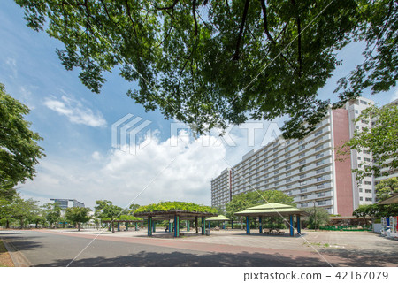 東京都葛飾區新小岩公園 東京都葛飾區新小岩公園 42167079