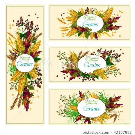 Organic cereals collection edible grains banners 42167992