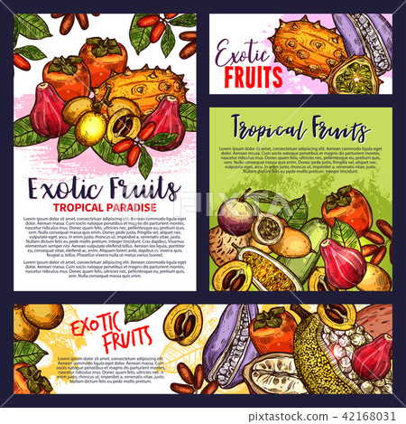 Tropical exotic fruit posters vector groceries 42168031