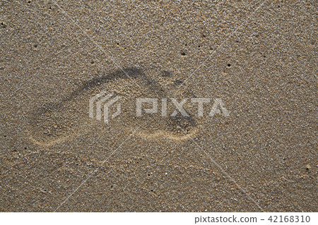 Footprints in the sand by the sea Footprints in the sand by the sea 42168310