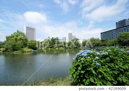 Sapporo Nakajima Park Irish Pond Sapporo Nakajima Park Irish Pond 42169009