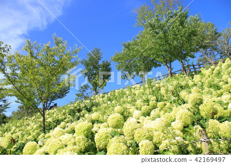 Kobe Fruit Flower Park Kobe Fruit Flower Park 42169497