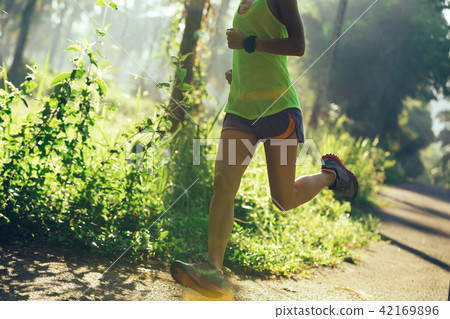 woman runner running on the forest trail woman runner running on the forest trail 42169896