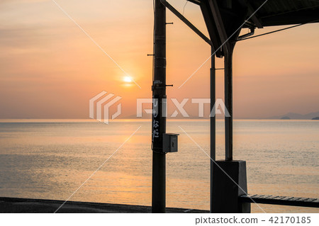 Shimada Shimada 42170185