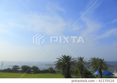 Shirahama Coast Seaside Garden Shirahama Coast Seaside Garden 42170528