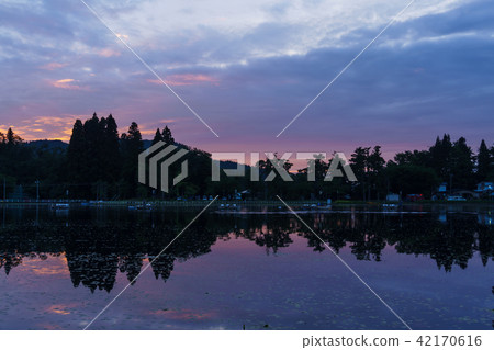 Tsurugaike在晚上tsurugaike沼澤 42170616