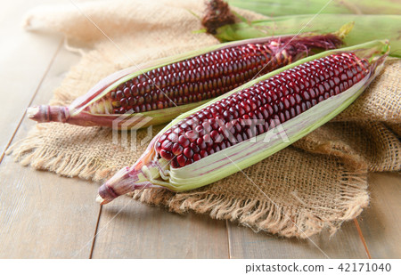 Siam Ruby Queen Corn on wood background, 42171040