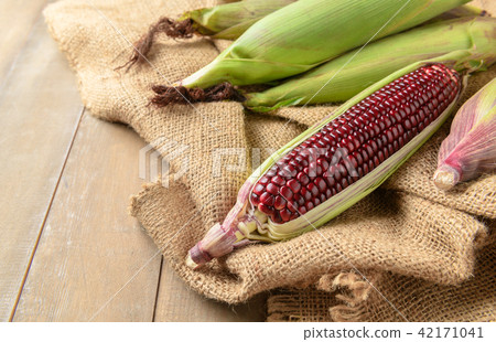 Siam Ruby Queen Corn on wood background, 42171041