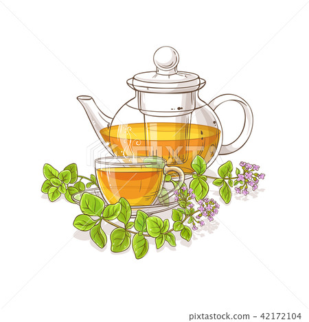 oregano tea illustration oregano tea illustration 42172104