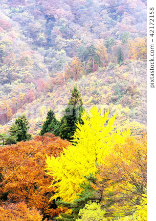 Impression of autumn 42172158