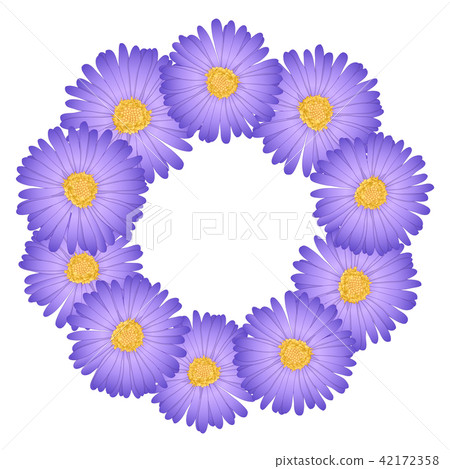 Purple Aster, Daisy Flower Wreath Purple Aster, Daisy Flower Wreath 42172358