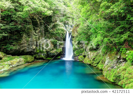 Nikofuchi 42172511
