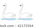 Swan 42172564