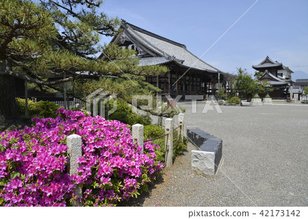 Honjoji main hall Honjoji main hall 42173142