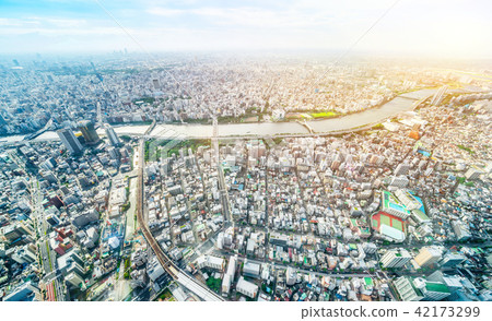 panoramic city urban skyline in Tokyo, Japan  42173299