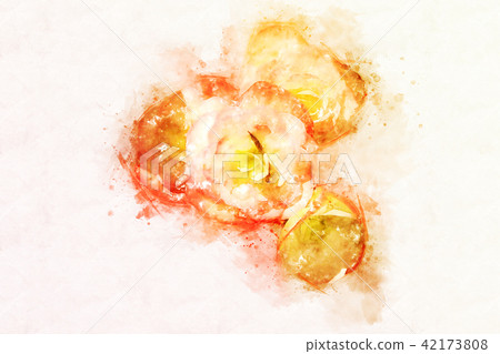 flower blooming on colorful watercolor painting flower blooming on colorful watercolor painting 42173808