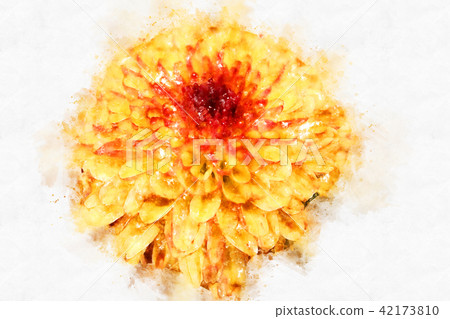 flower blooming on colorful watercolor painting 42173810
