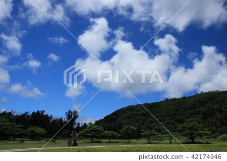 Island scenery Island scenery 42174946